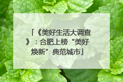 《美好生活大调查》：合肥上榜“美好焕新”典范城市