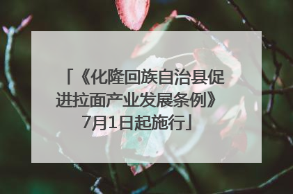 《化隆回族自治县促进拉面产业发展条例》7月1日起施行