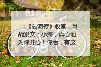 《藏海传》收官，肖战发文：小海，真心地为你开心！你看，有这么多人懂你！