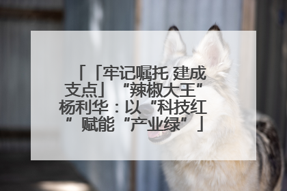 「牢记嘱托 建成支点」“辣椒大王”杨利华：以“科技红”赋能“产业绿”
