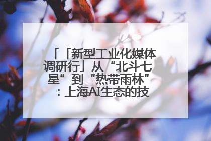 「新型工业化媒体调研行」从“北斗七星”到“热带雨林”：上海AI生态的技术商业共生密码