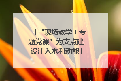 “现场教学＋专题党课”为支点建设注入水利动能
