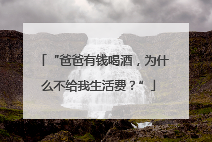 “爸爸有钱喝酒，为什么不给我生活费？”