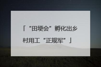 “田埂会”孵化出乡村用工“正规军”