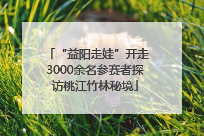 “益阳走娃”开走 3000余名参赛者探访桃江竹林秘境