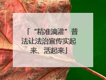 “精准滴灌”普法让法治宣传实起来、活起来