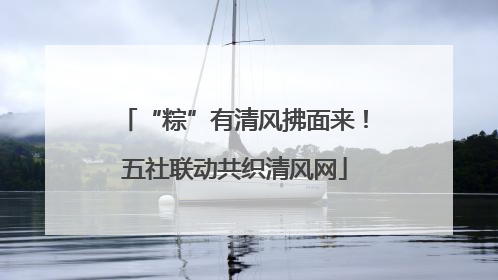 “粽”有清风拂面来！五社联动共织清风网