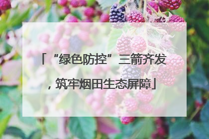 “绿色防控”三箭齐发，筑牢烟田生态屏障