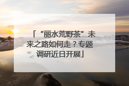 “丽水荒野茶”未来之路如何走？专题调研近日开展