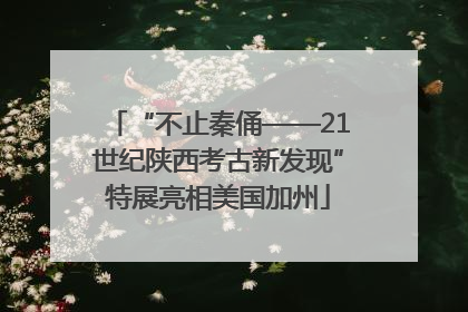 “不止秦俑——21世纪陕西考古新发现”特展亮相美国加州