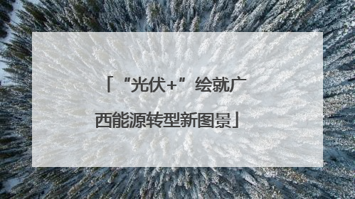 “光伏+”绘就广西能源转型新图景