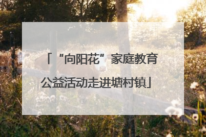 “向阳花”家庭教育公益活动走进塘村镇