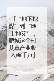 “地下挖煤”到“地上种艾”，肥城这个村艾草产业收入破千万