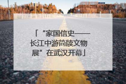 “家国信史——长江中游简牍文物展”在武汉开幕
