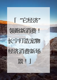 “它经济”领跑新消费！长宁打造宠物经济消费新场景！