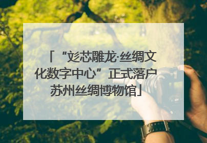 “彣芯雕龙·丝绸文化数字中心”正式落户苏州丝绸博物馆
