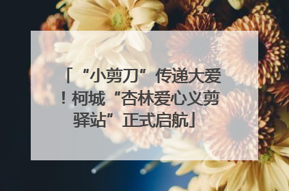 “小剪刀”传递大爱！柯城“杏林爱心义剪驿站”正式启航
