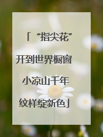 “指尖花”开到世界橱窗 小凉山千年纹样绽新色