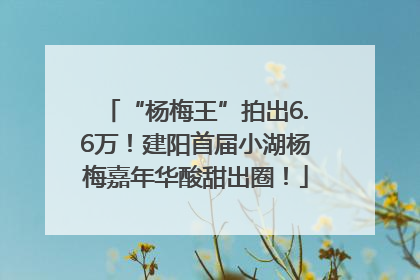 “杨梅王”拍出6.6万！建阳首届小湖杨梅嘉年华酸甜出圈！