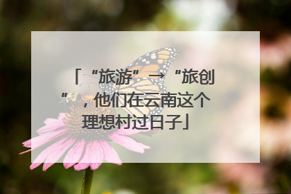 “旅游”→“旅创”，他们在云南这个理想村过日子