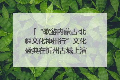 “歌游内蒙古·北疆文化神州行”文化盛典在忻州古城上演——蒙晋文化交融共谱文旅融合新篇
