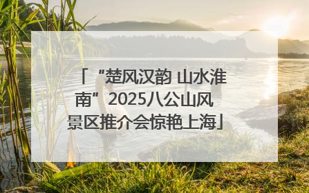 “楚风汉韵 山水淮南”2025八公山风景区推介会惊艳上海