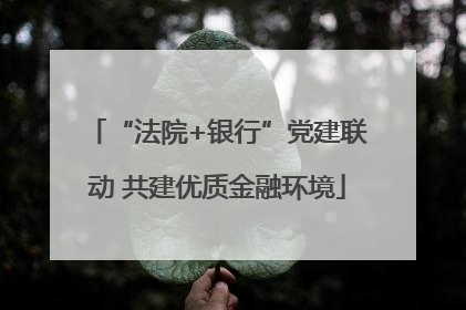 “法院+银行”党建联动 共建优质金融环境