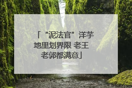 “泥法官”洋芋地里划界限 老王老郭都满意