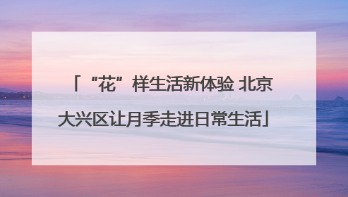 “花”样生活新体验 北京大兴区让月季走进日常生活
