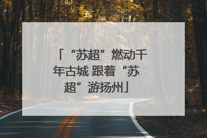 “苏超”燃动千年古城 跟着“苏超”游扬州