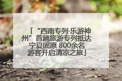 “西南专列·乐游神州”首趟旅游专列抵达宁夏固原 800余名游客开启清凉之旅
