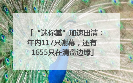 “迷你基”加速出清：年内117只谢幕，还有1655只在清盘边缘