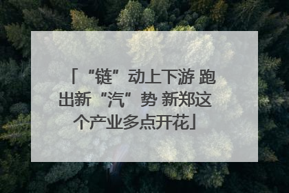 “链”动上下游 跑出新“汽”势 新郑这个产业多点开花