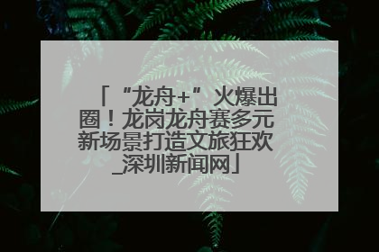 “龙舟+”火爆出圈！龙岗龙舟赛多元新场景打造文旅狂欢_深圳新闻网