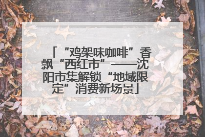 “鸡架味咖啡”香飘“西红市”——沈阳市集解锁“地域限定”消费新场景