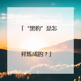 “黑豹”是怎样炼成的？