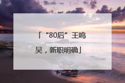 “80后”王鸣昊，新职明确
