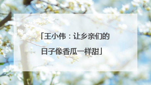 王小伟：让乡亲们的日子像香瓜一样甜