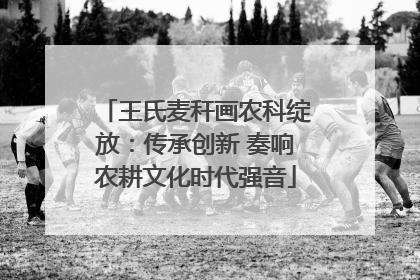 王氏麦秆画农科绽放：传承创新 奏响农耕文化时代强音