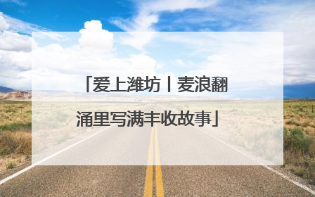 爱上潍坊丨麦浪翻涌里写满丰收故事