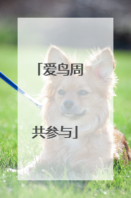 爱鸟周 共参与