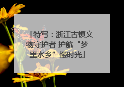 特写：浙江古镇文物守护者 护航“梦里水乡”慢时光