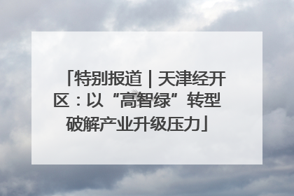 特别报道｜天津经开区：以“高智绿”转型破解产业升级压力
