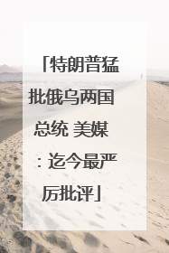 特朗普猛批俄乌两国总统 美媒：迄今最严厉批评
