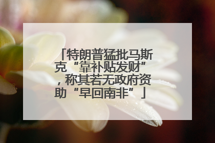 特朗普猛批马斯克“靠补贴发财”，称其若无政府资助“早回南非”