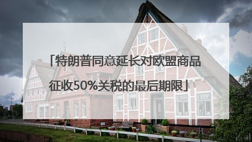 特朗普同意延长对欧盟商品征收50%关税的最后期限