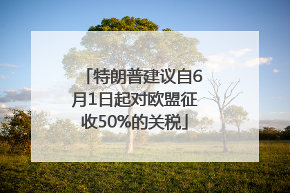 特朗普建议自6月1日起对欧盟征收50%的关税