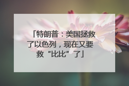 特朗普：美国拯救了以色列，现在又要救“比比”了