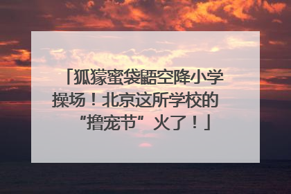 狐獴蜜袋鼯空降小学操场！北京这所学校的“撸宠节”火了！