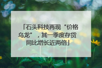 石头科技再现“价格乌龙”，其一季度存货同比增长近两倍